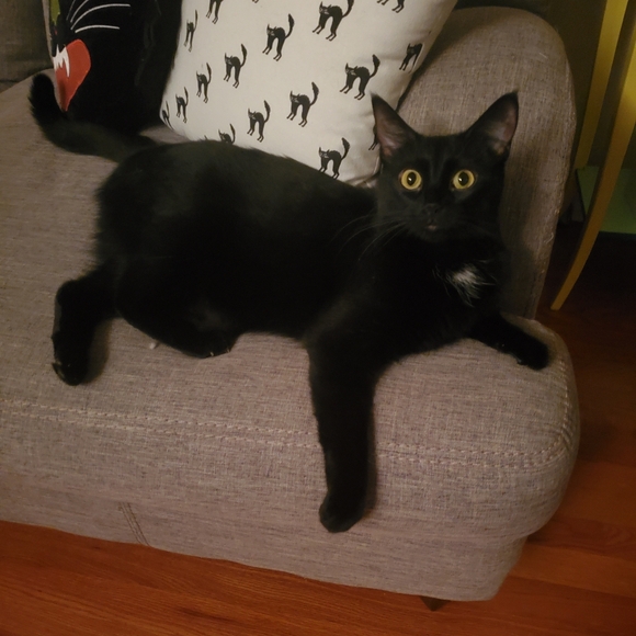 Meet the Posher - Picture 4 of 5